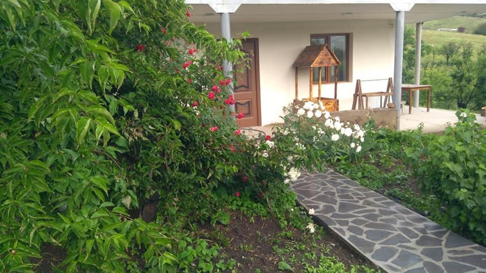 Amoj B&B And Guest House アラヴェルジ エクステリア 写真